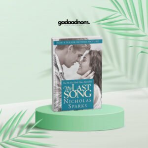 The Last Song book cover