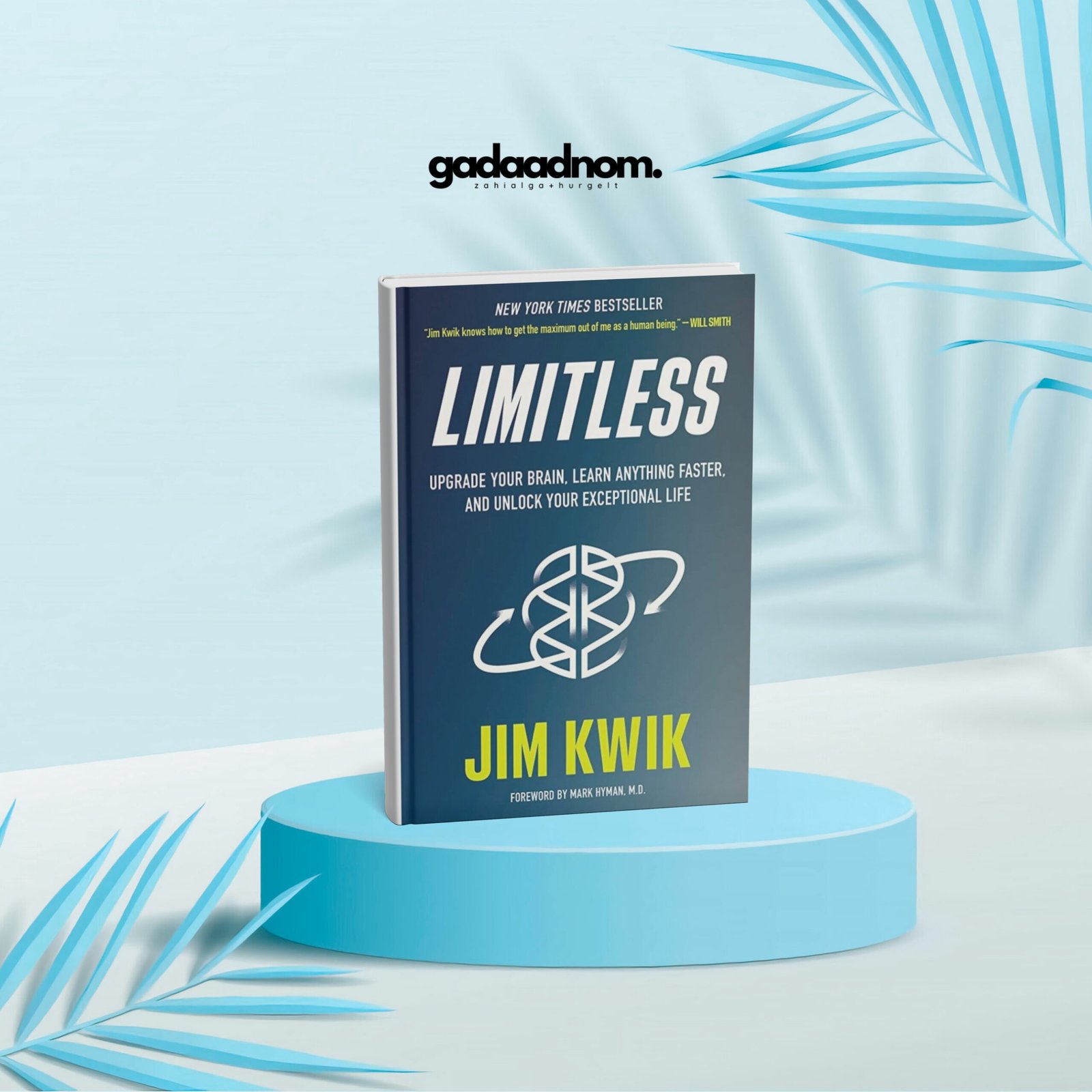 Limitless: Upgrade Your Brain, Learn Anything Faster, and Unlock Your Exceptional Life book cover