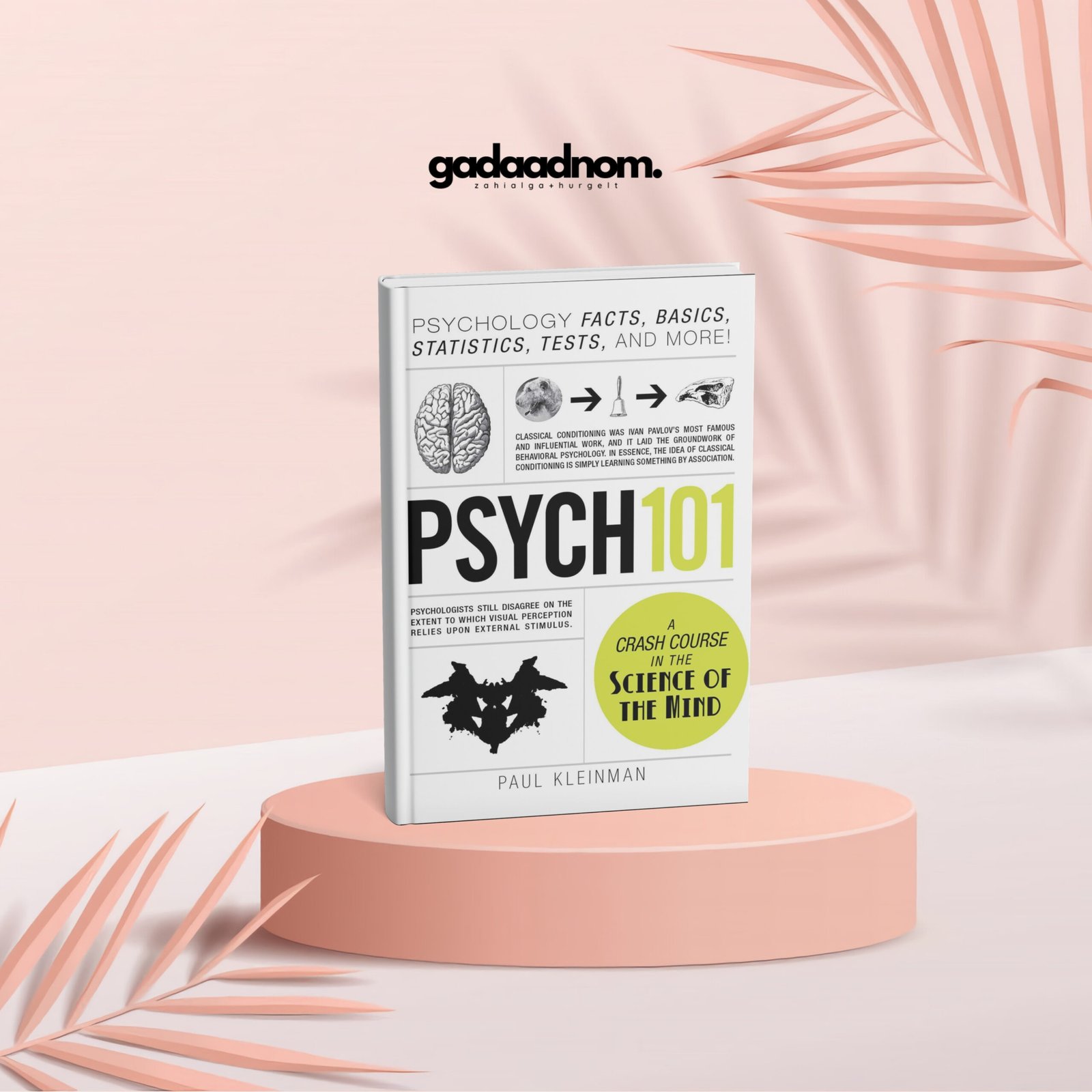 Psychology 101 by Paul Kleinman